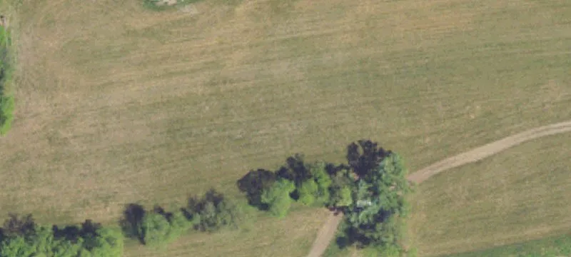 Farmersville Rd