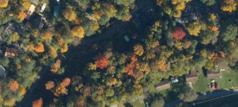 113 Creekside Ln