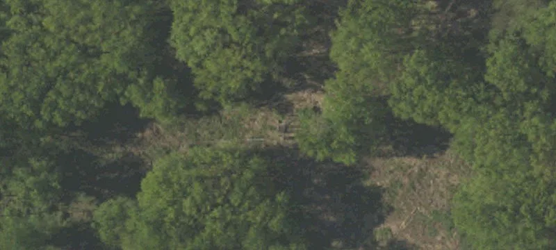 Rte 11
