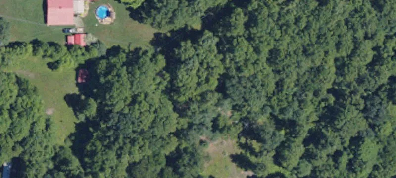 382 Armstrong Run Rd