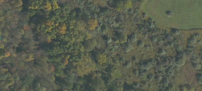 1050 Ft Palmer Rd