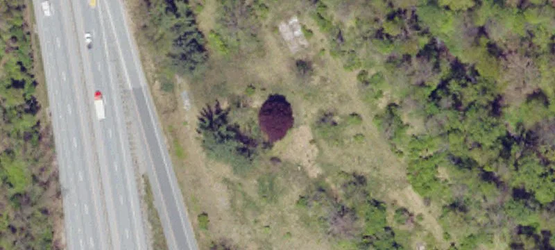 798 Seaks Run Rd