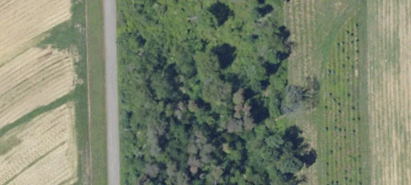122 Nagel Rd