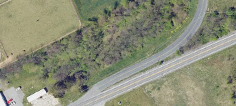 111 Carlisle Rd