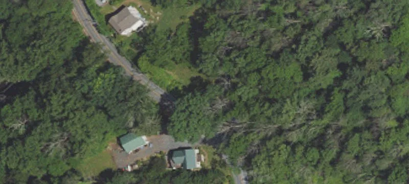 3311 Saint Peters Rd