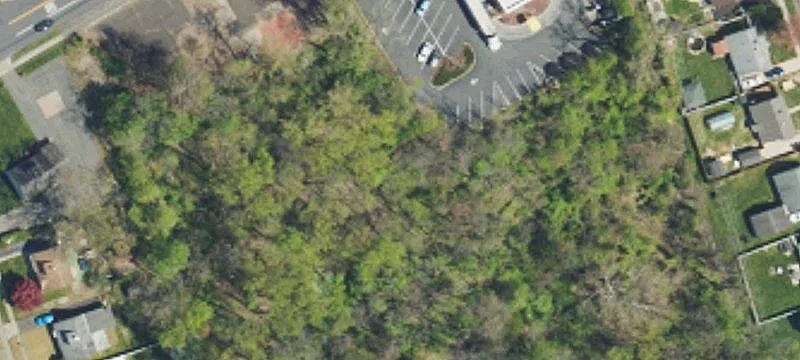 321 Trenton Ave