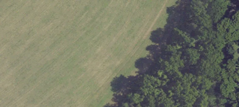 720 Bow Crk Rd