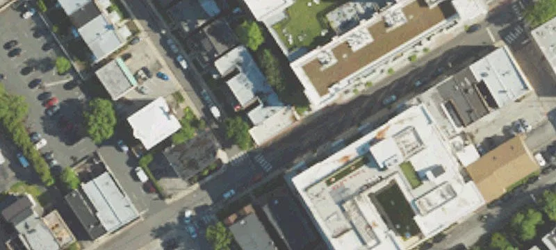 42 Cricket Ave