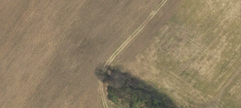 160 Marshfield Dr