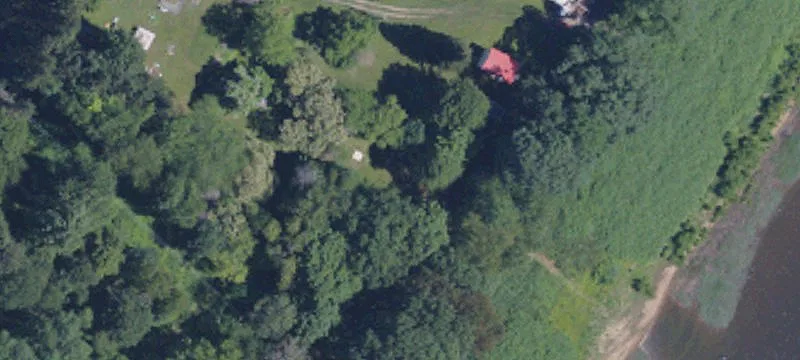 Mabel Rd
