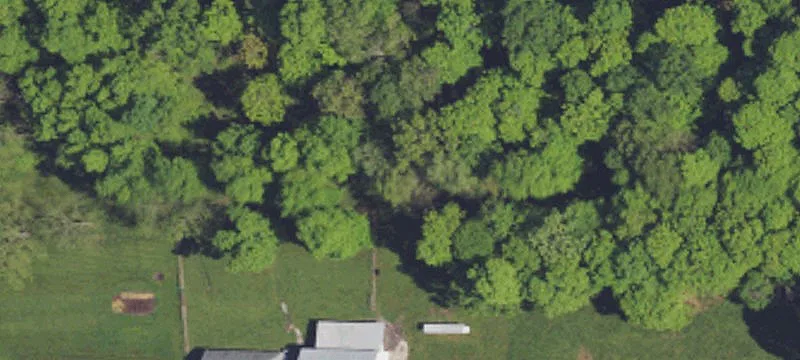 388 Staver Rd