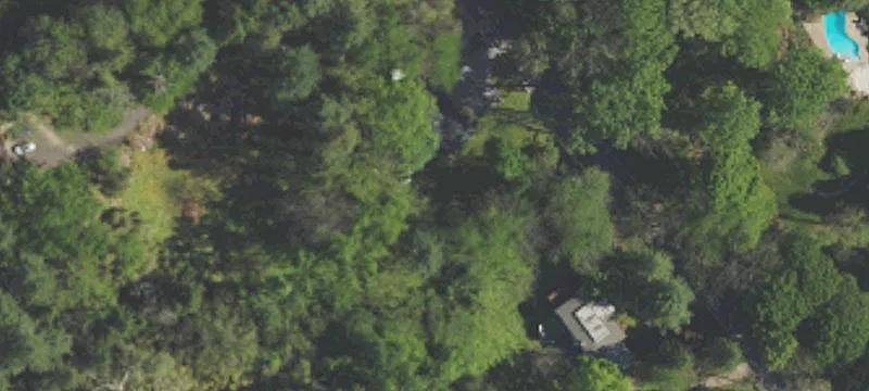 420 Rose Tree Rd
