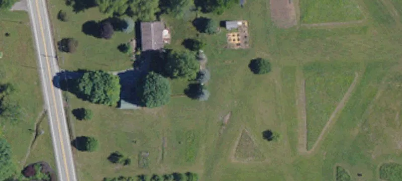31 Tree Ln