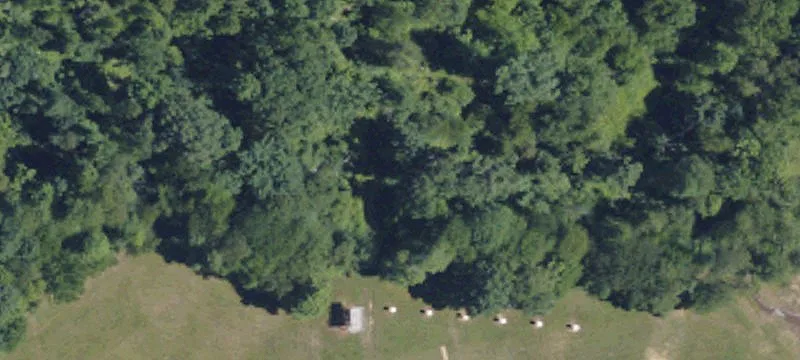 493 Rdg Rd