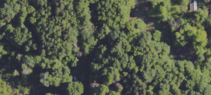 2007 Helen Ln