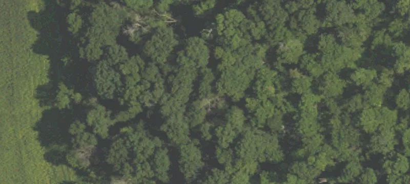 1847 Horseshoe Pike