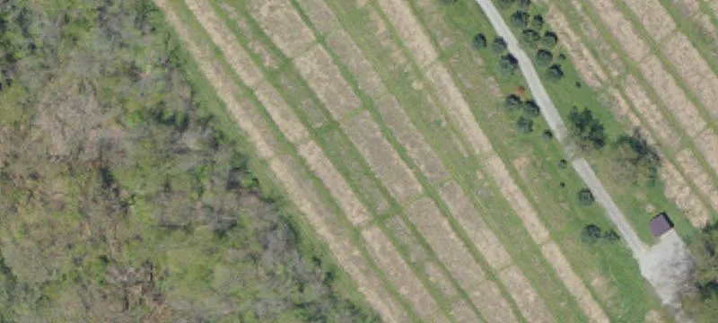 220 Alpine Rd