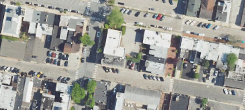 11 Olive St