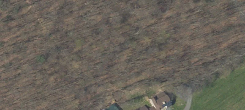 Tower Site