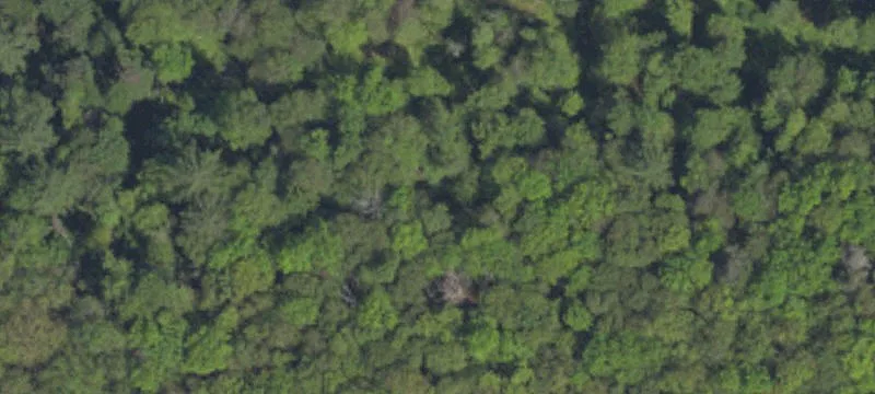 Sinnamahoning, PA 15861