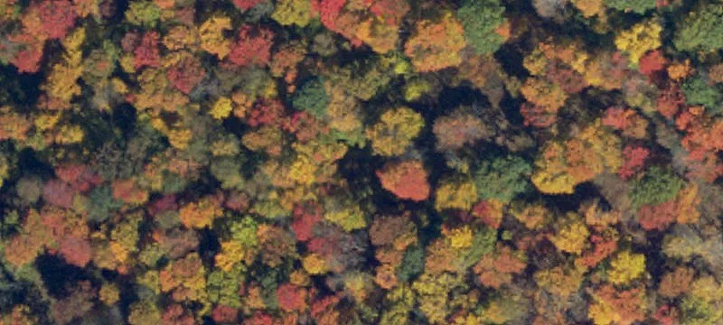 Clearfield County