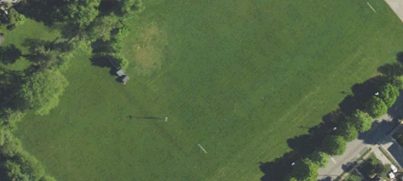 250 Johnson Hwy