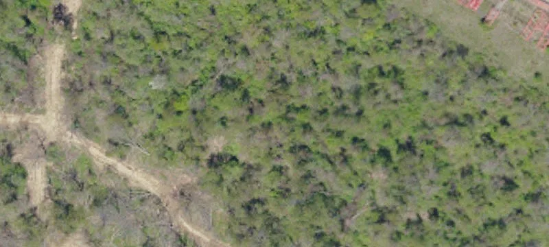 700 Millers Run Rd