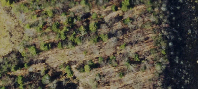 Waymart, PA 18472
