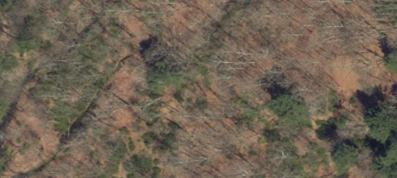104 Log Cabin Rd