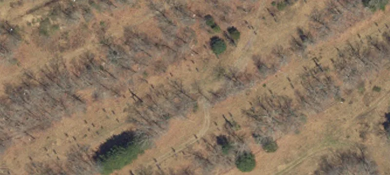 505 Timber Hl Rd