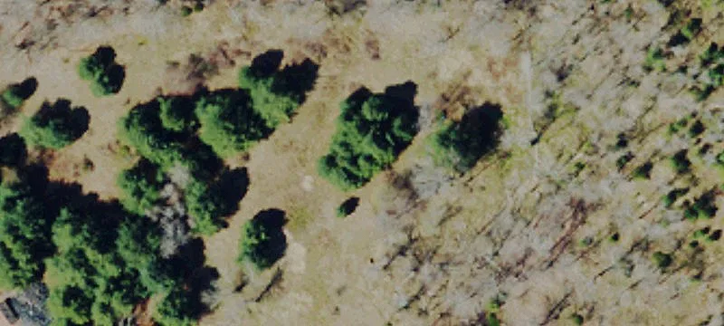 1647 Bch Lk Hwy