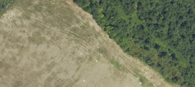 499 Mcdowell Rd