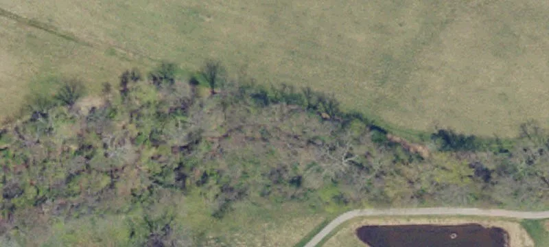 534 Mason Dixon Rd