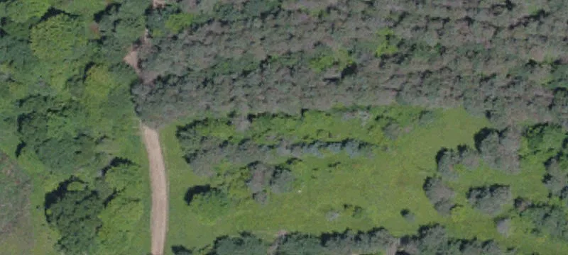261 Curran Rd