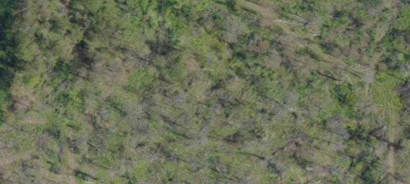 Rt 168