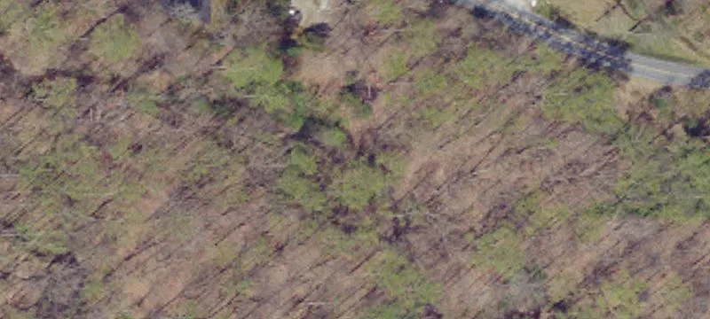 1945 Mt Hope Rd