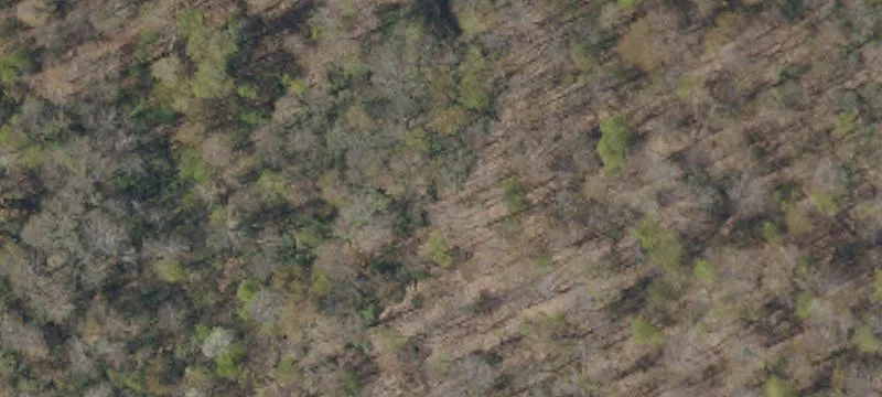 4983 National Pike