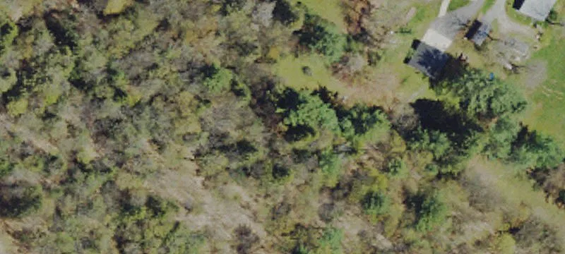 137 Gus Park Ln