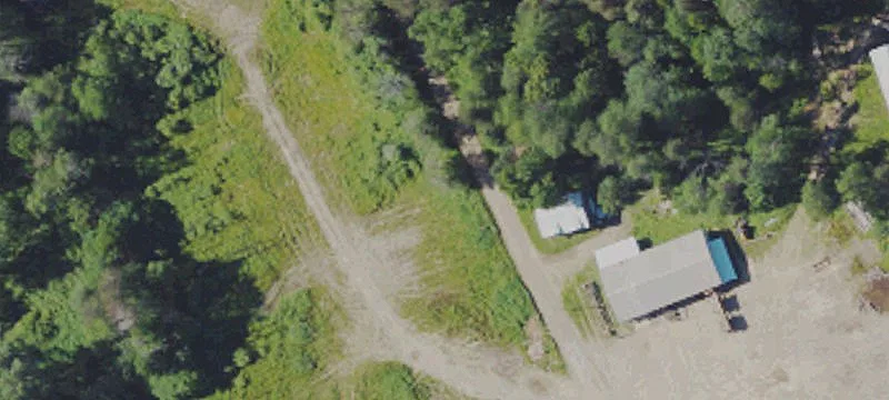 Punkey Hollow