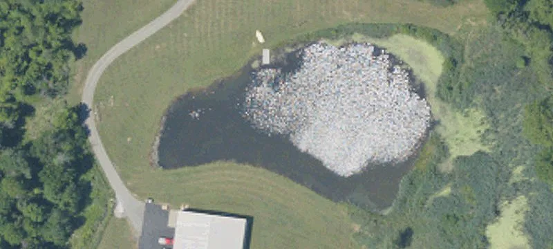 2801 New Butler Rd