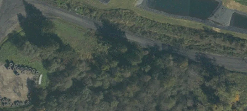 1117 Shaw Mines Rd