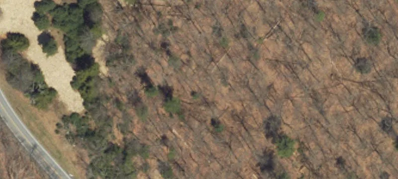 Devils Hole Rd