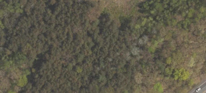 Rte 11