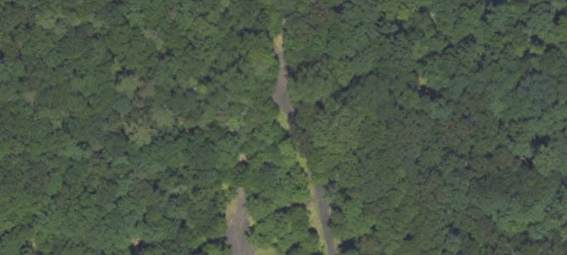 Zion Grove, PA 17985