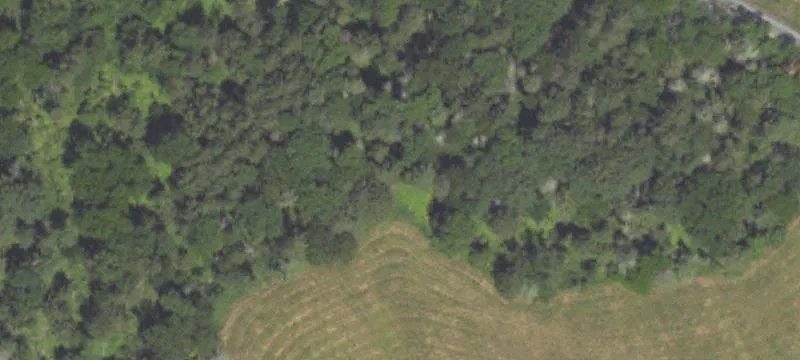 Zion Grove, PA 17985