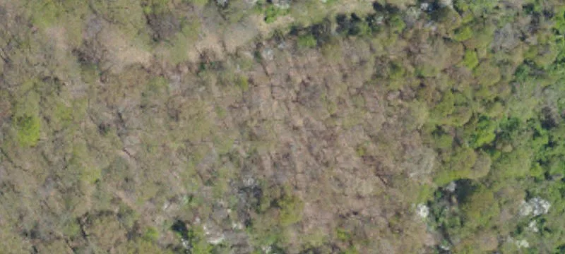Canonsburg, PA 15317