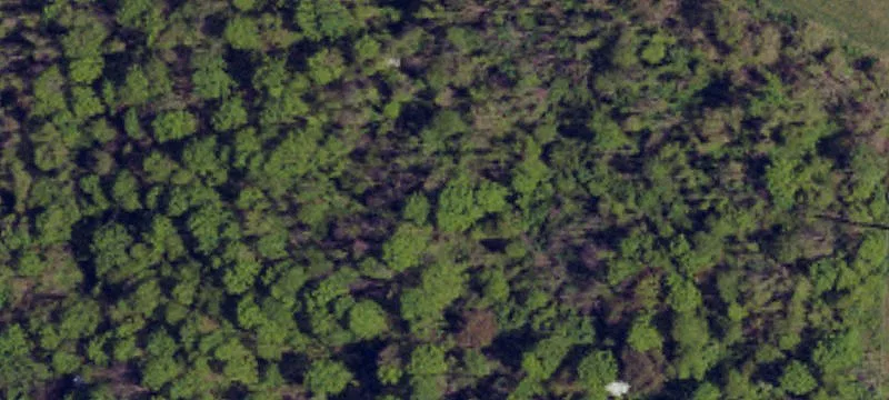 2nd Peters Mtn Rd