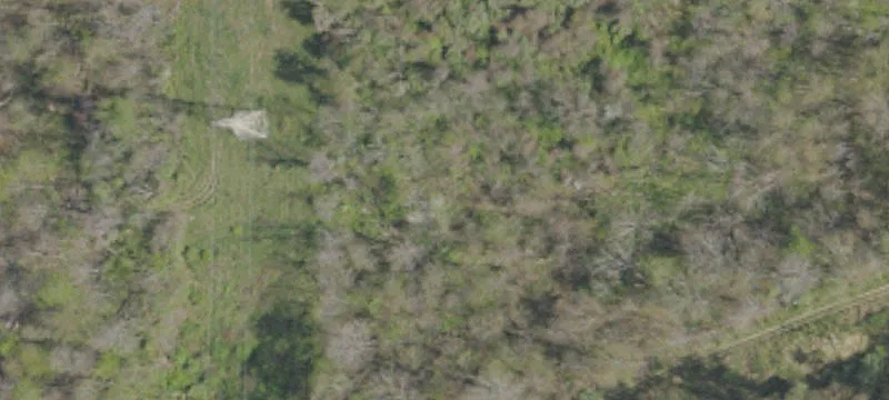 508 Malden Dr