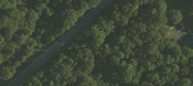 Beaver Run