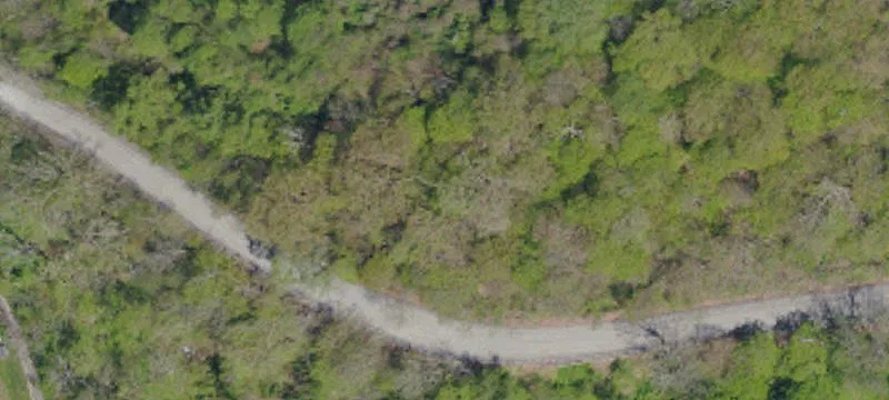 Elizabeth Hanna Tract